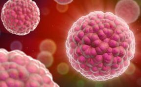 giza papilomabirusaren sintomak eta tratamendua